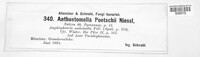 Anthostomella poetschii image